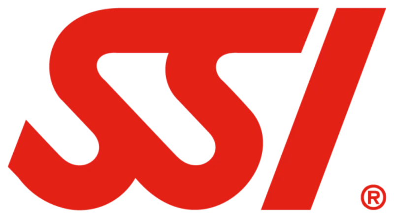 SSI