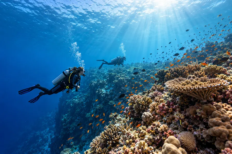 Concept visual of two divers above a reef